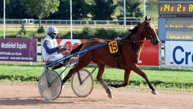 MessiTurf10 Facebook