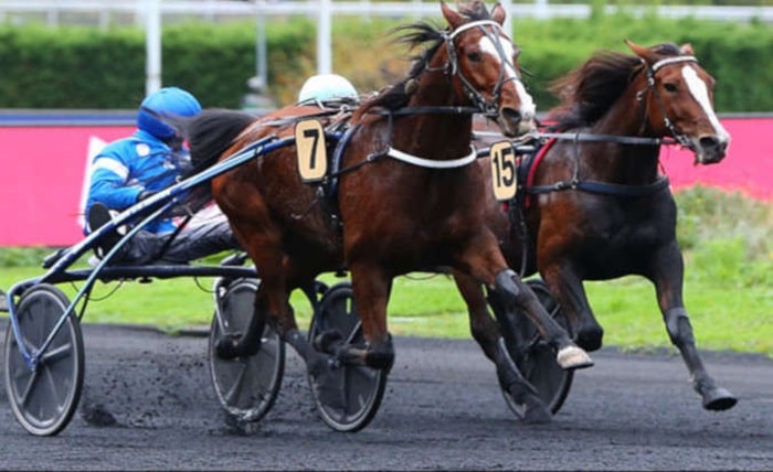 Messiturf10 Couplé