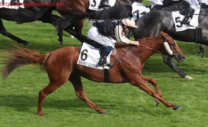 BarthTurf 1000
