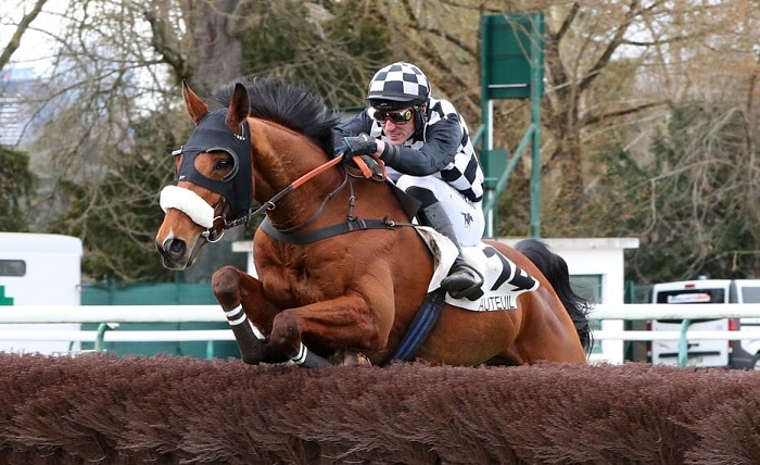 Univers Turf 365