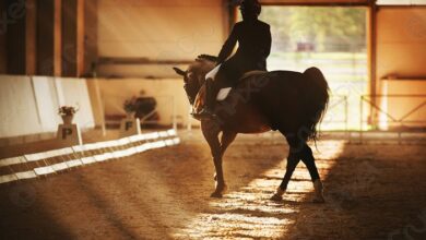 Le Mystere Hippique