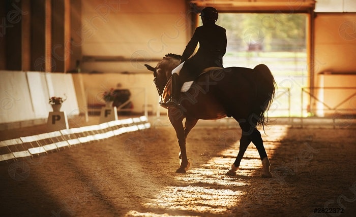 Le Mystere Hippique
