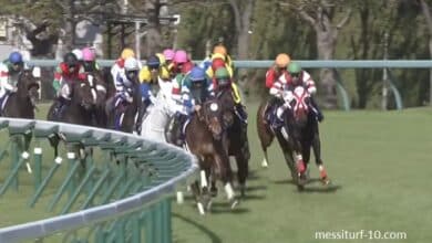 LeBossDuTurf