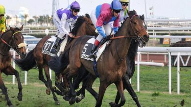 Mystère Hippique LesDuels