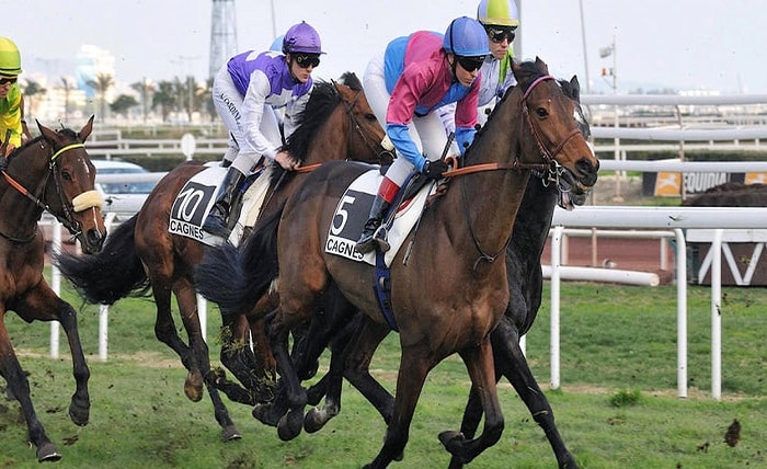 Mystère Hippique LesDuels