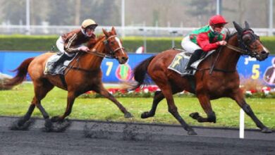 Lechatelet Turf Blogspot