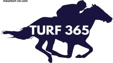 Turf365 Prono