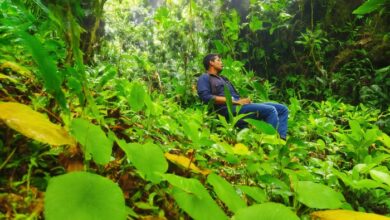 lapak asik cek saldo